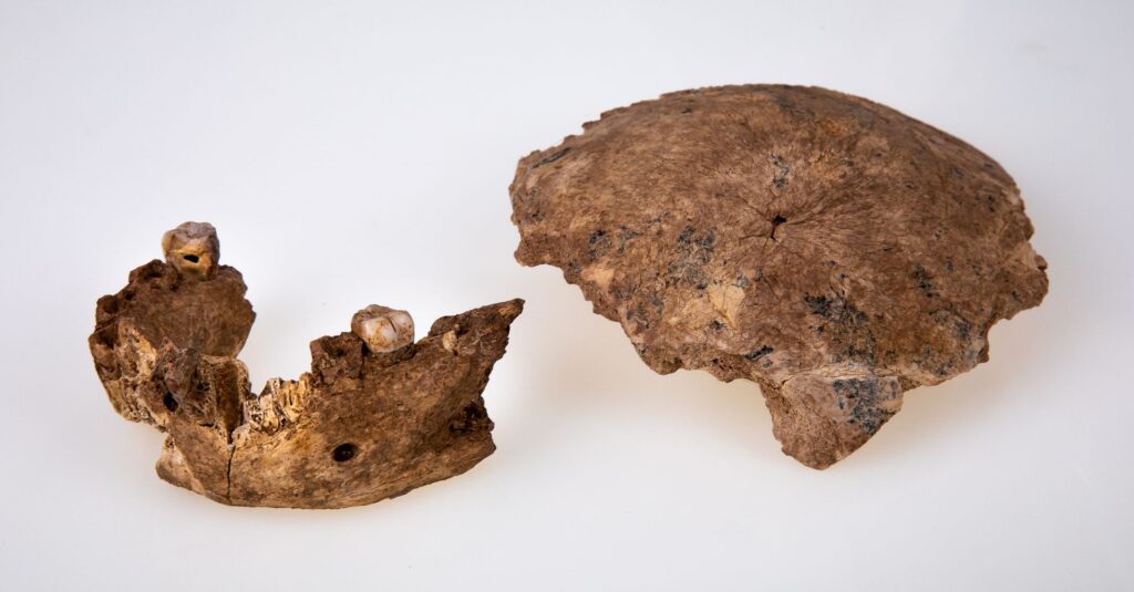  misterioso grupo humano