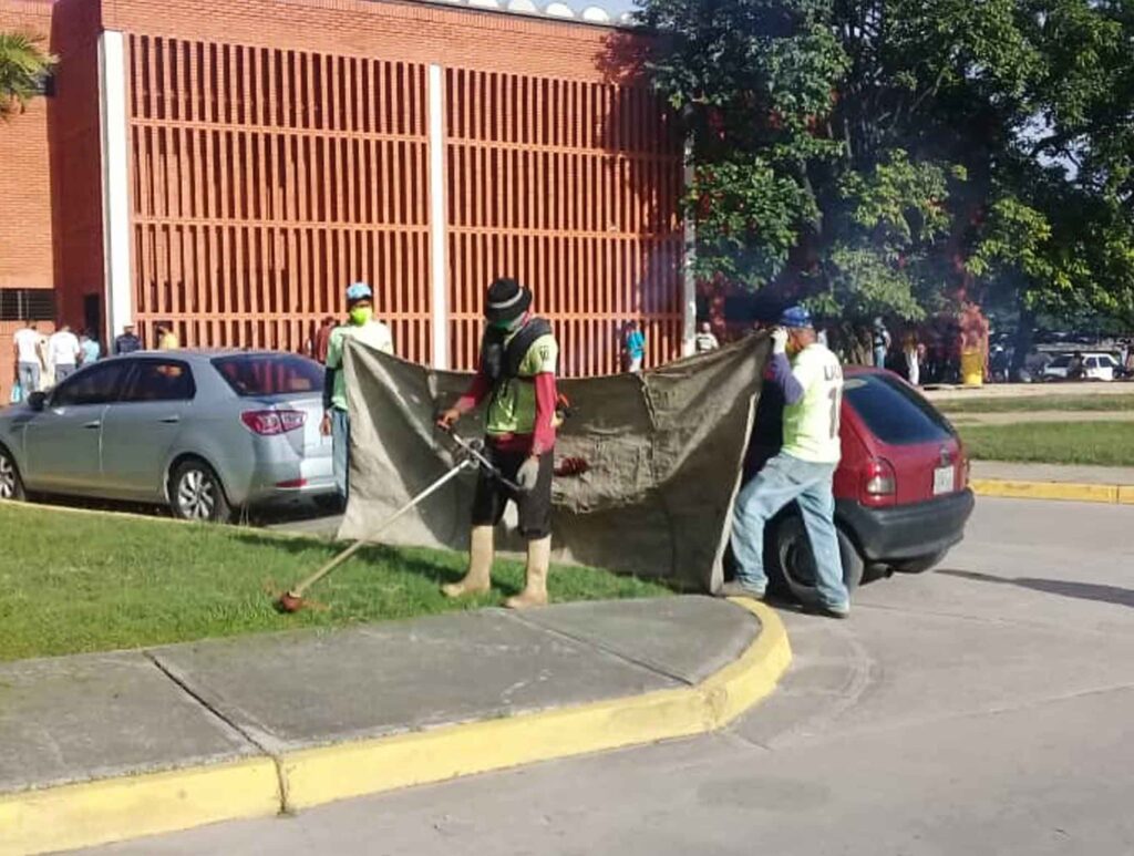 Labores de limpieza y desmalezado en Valencia
