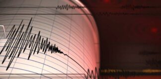 Temblor de magnitud 3,1 en Valencia - NA