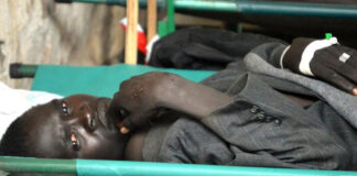 Brote de cólera en Níger - Noticias Ahora