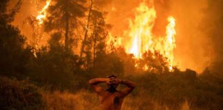 Cesan incendios en Grecia - Notcias Ahora