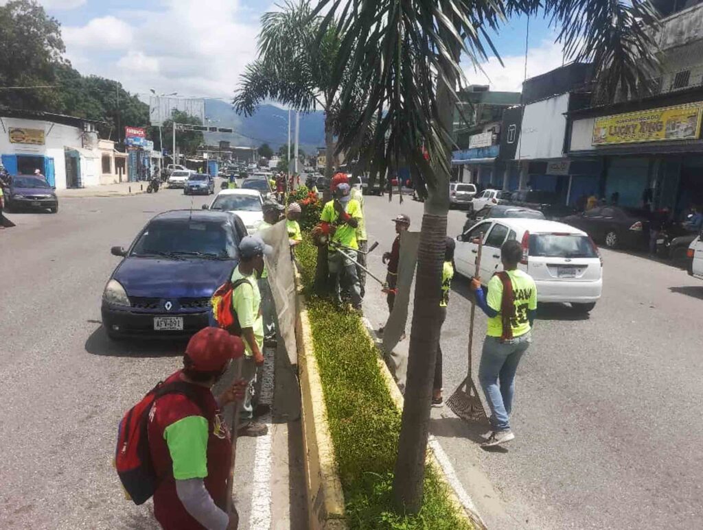 Plan de desmalezado en Valencia