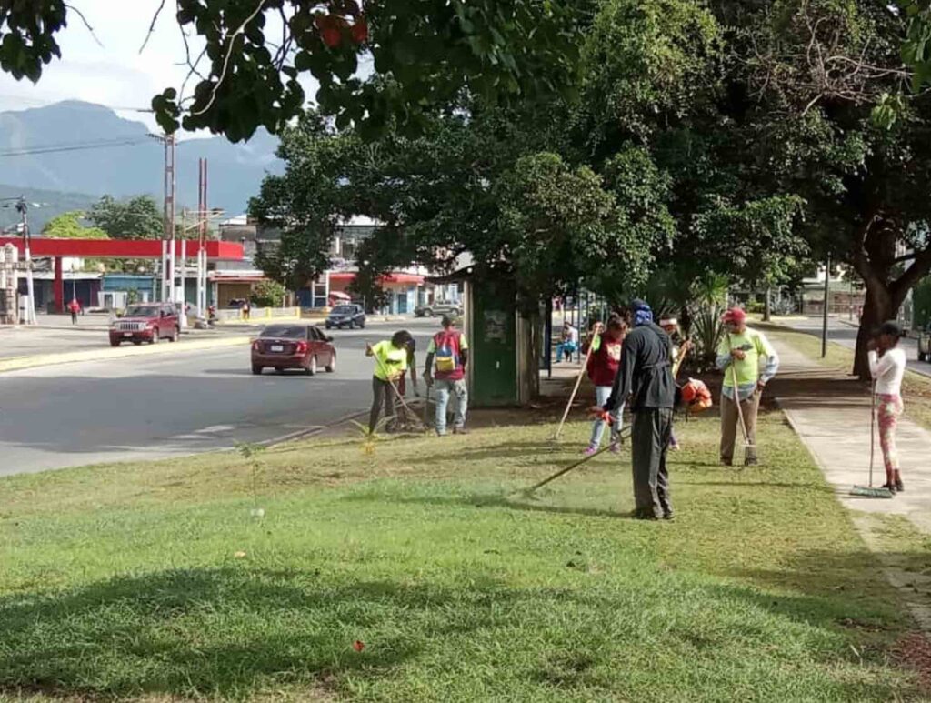 Plan de desmalezado en Valencia