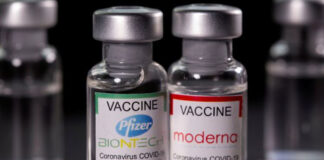 Vacunas anticovid producidas en España - Noticias Ahora