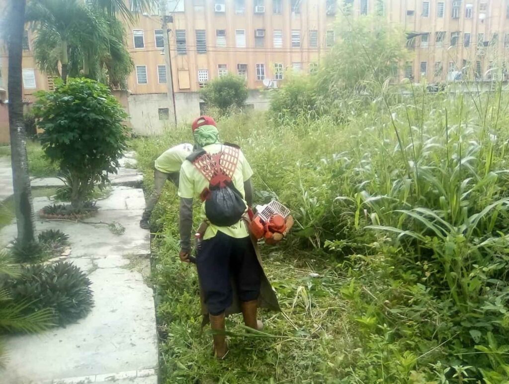 mantenimiento en parque infantil de La Isabelica