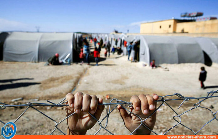 Refugiados retornados a Siria - Noticias Ahora