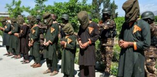 Miembros del Estado Islámico detenidos en Afganistán - Noticias Ahora