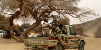 Emboscada terrorista en el norte de Níger - Noticias Ahora