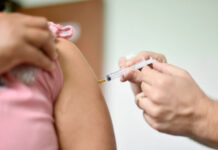 Carnet de vacunación Fiebre Amarilla - Noticias Ahora