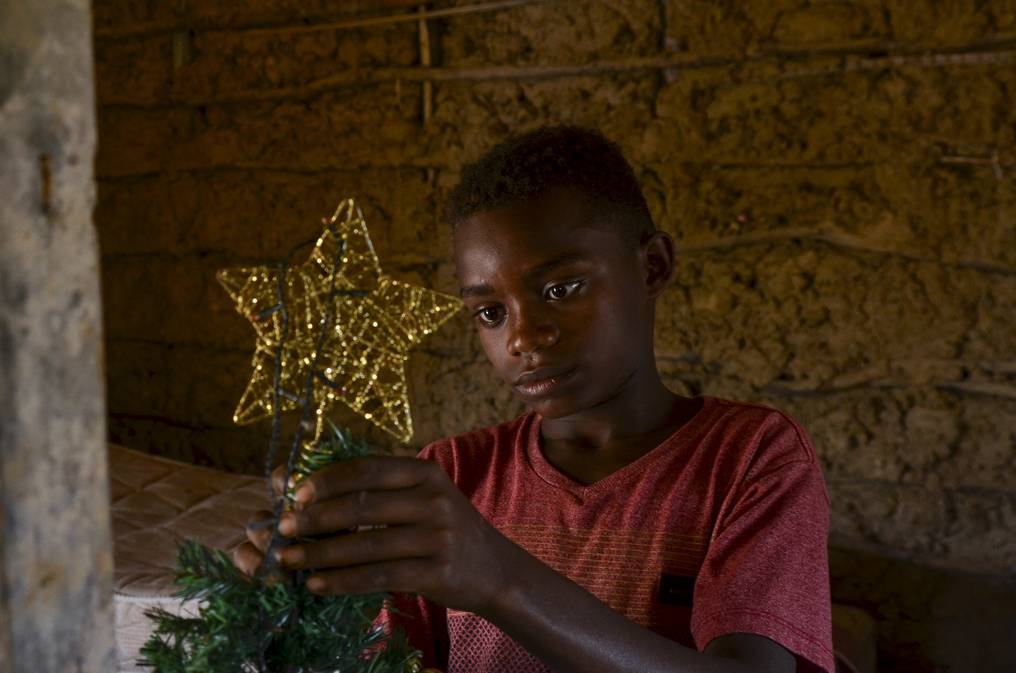 niño encuentra un árbol de Navidad - niño encuentra un árbol de Navidad