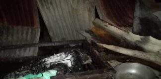 5 niños murieron calcinados en Guasdualito - NA