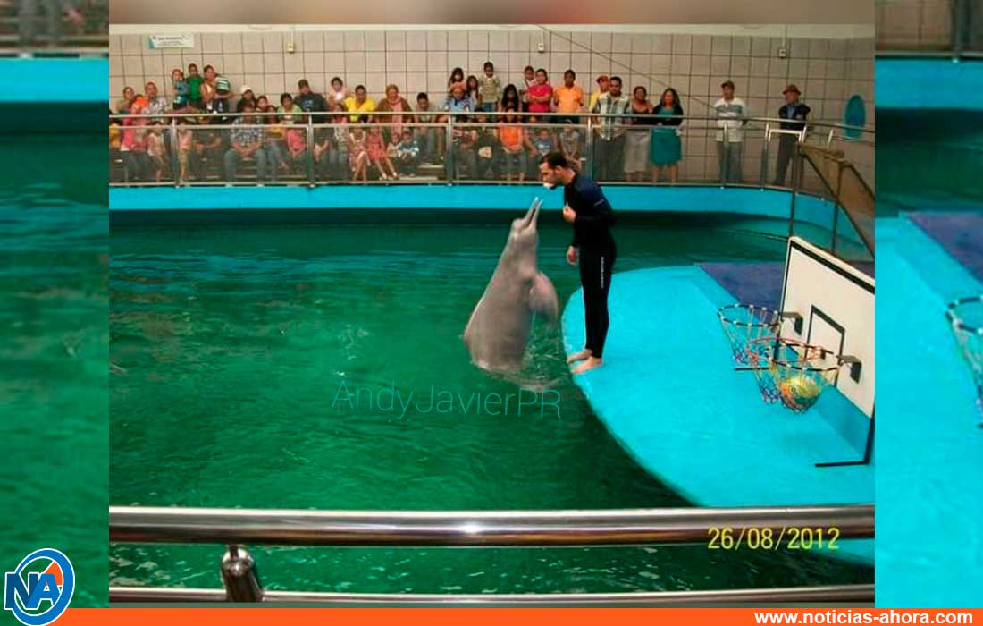 Aquarium de Valencia - Aquarium de Valencia