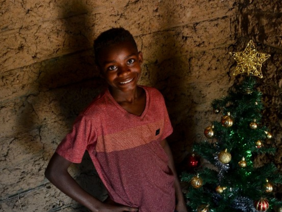 niño encuentra un árbol de Navidad - niño encuentra un árbol de Navidad