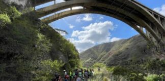 Se lanzó viaducto Caracas - La Guaira - Noticias ahora