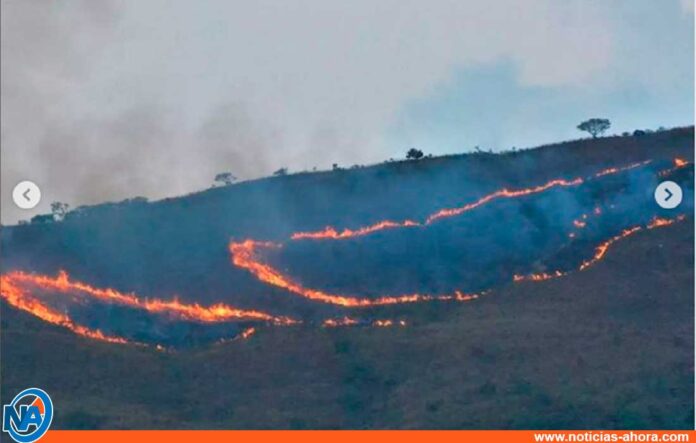 incendios forestales en Aragua y Carabobo - incendios forestales en Aragua y Carabobo