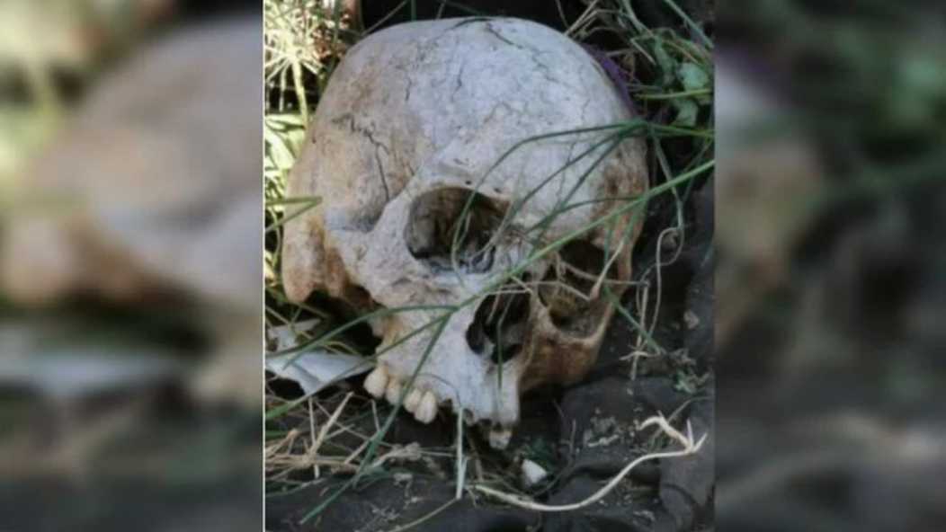 cráneo humano en una carretera de Mérida - NA