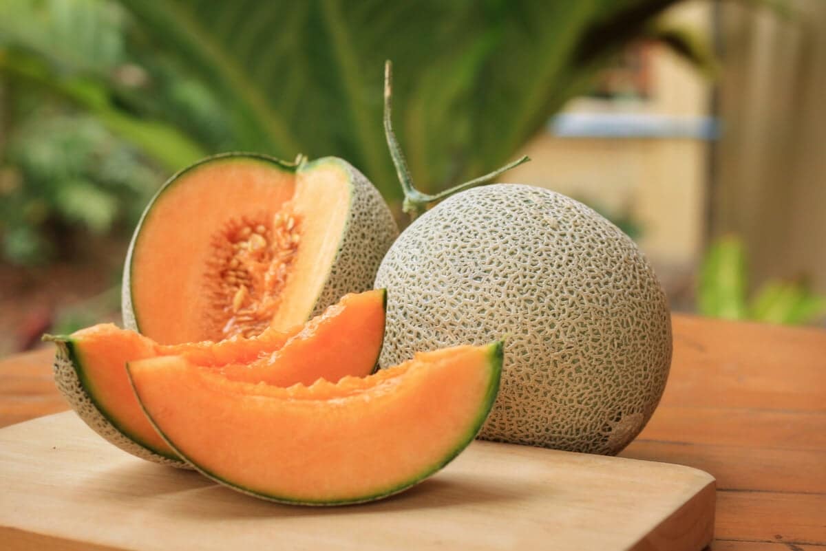 el melón