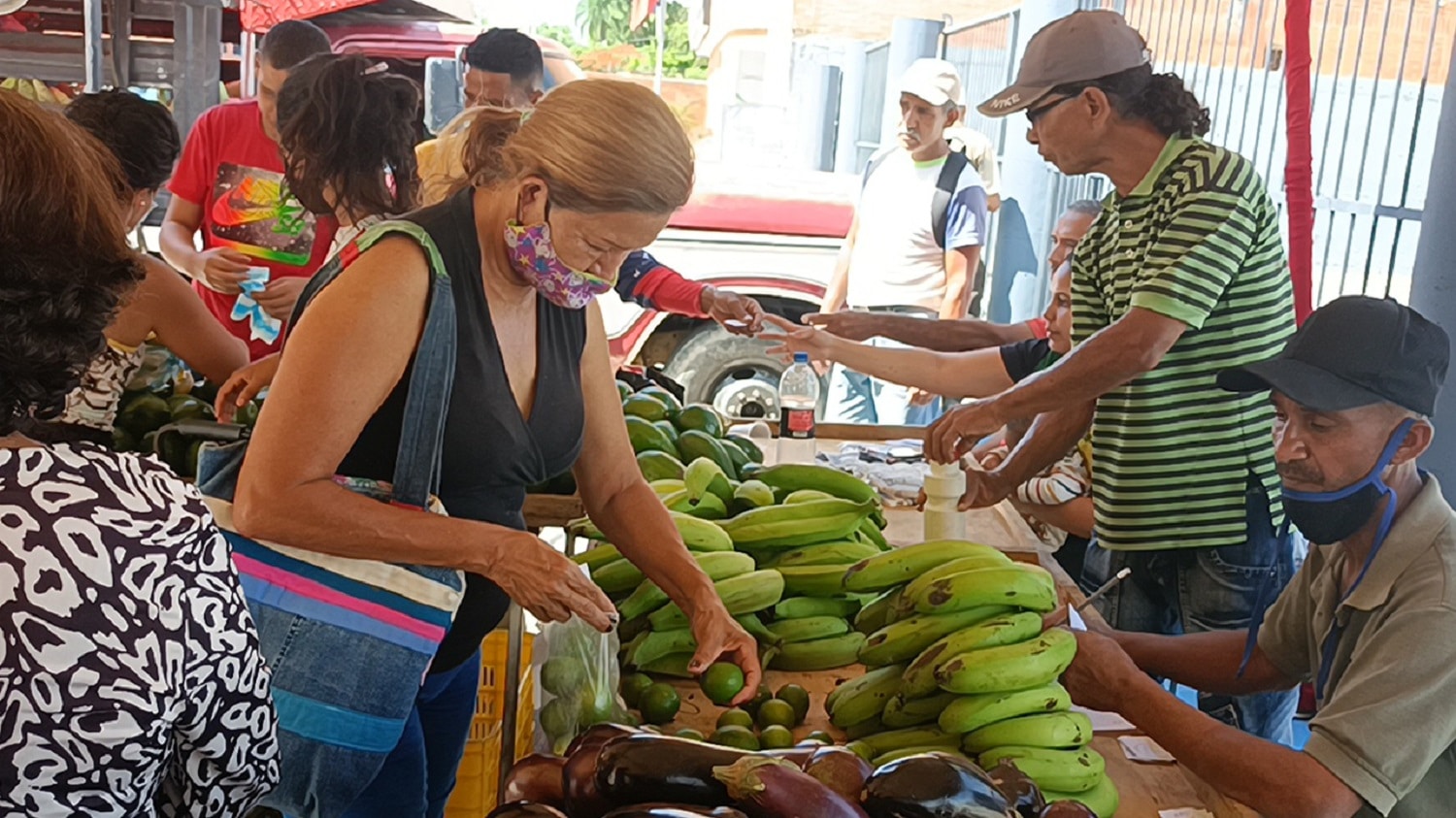 1 era Feria Campesina de Libertador
