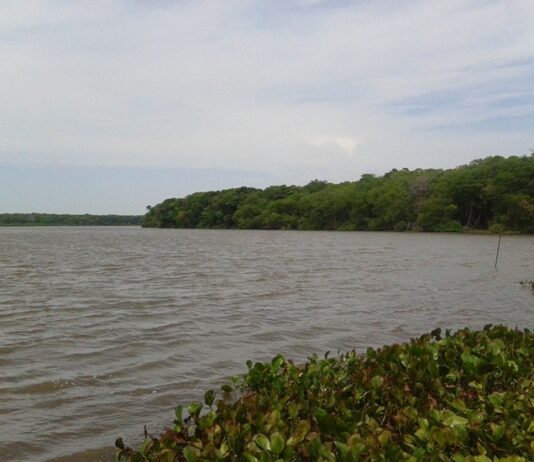 Crecida del rio Limón en Zulia