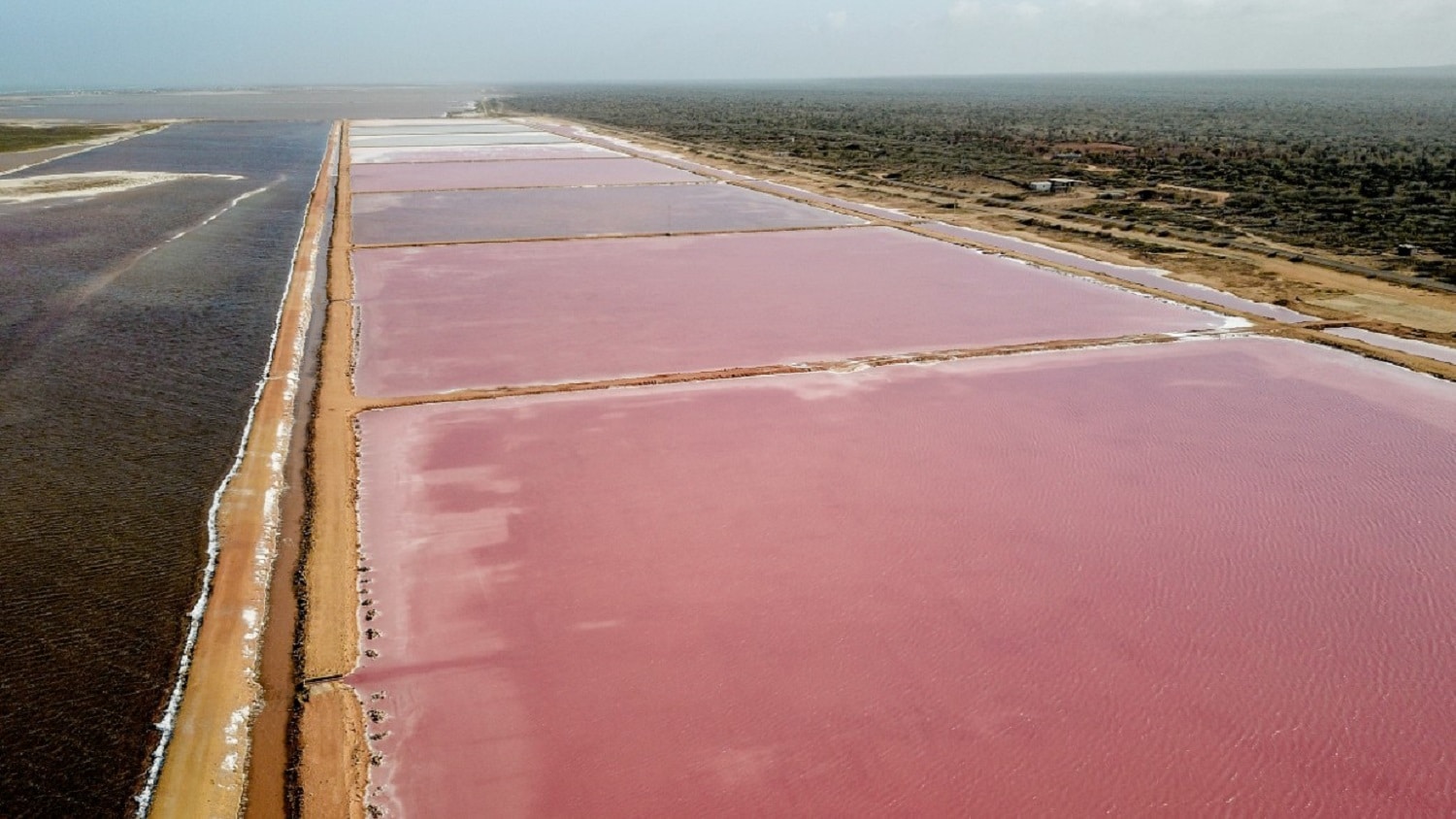 salinas de Las Cumaraguas