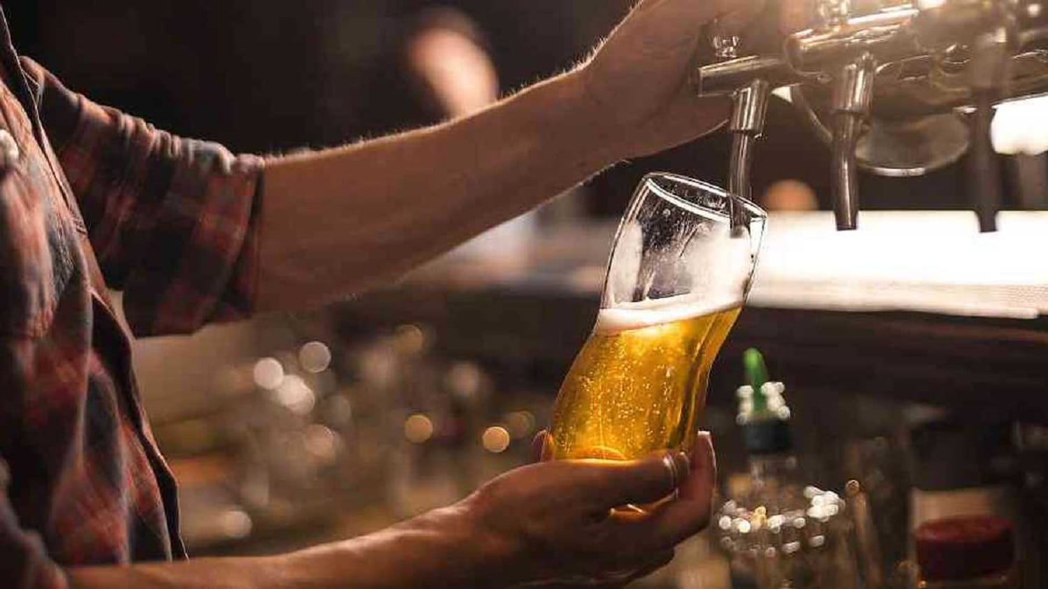 Beber cerveza