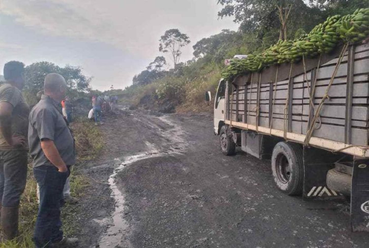 deslave en carretera local 007